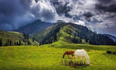 Khaira Gali and Galiyat — Pakistan’s Most Underrated Mountain Escape